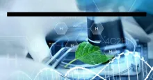 中钢洛耐：公司已部署DeepSeek，将推动管理变革和产业转型